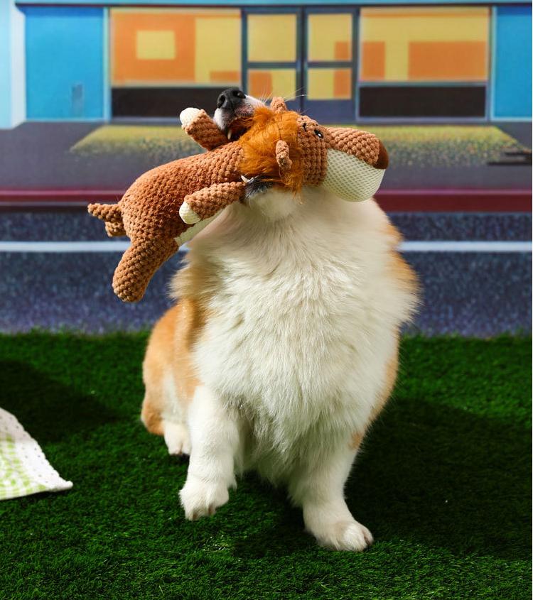 Soft Plush Dog Toy for Chewing & Playing – Adorable Animal Design, Interactive Pet Toy