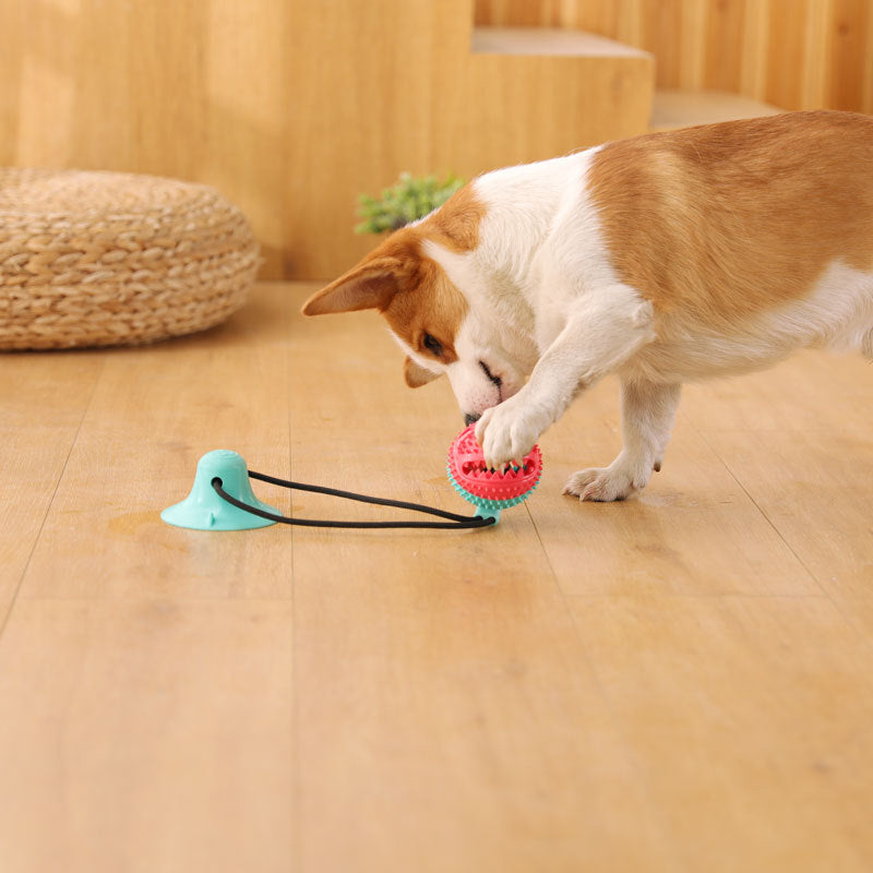 Pet Suction Cup Tug Toy Ball for Dogs – Interactive TPR Chew Toy with Round & Rugby Ball Options, Durable & Fun Training Play