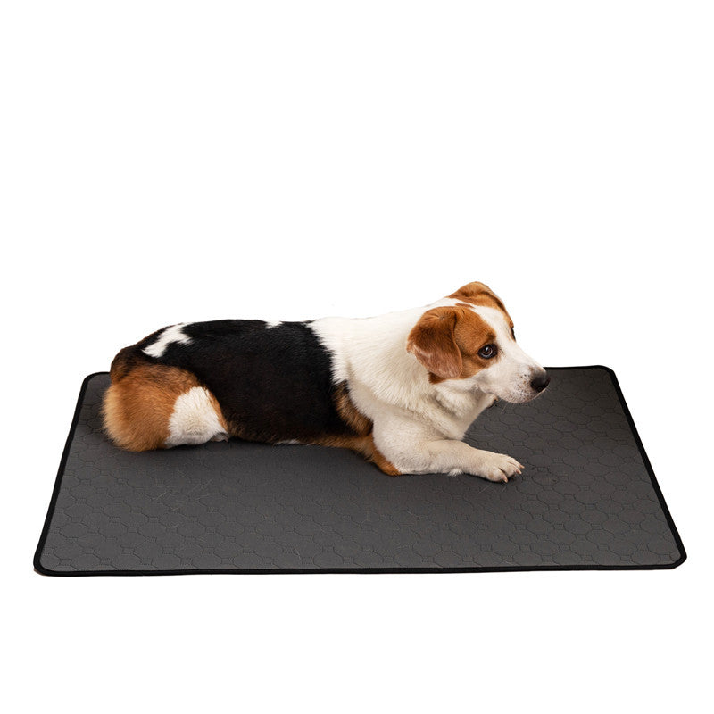 AuriPaw Reusable Washable Dog Pee Pad – Super Absorbent Leak-Proof Pet Training & Toilet Mat for Puppies and Adult Dogs