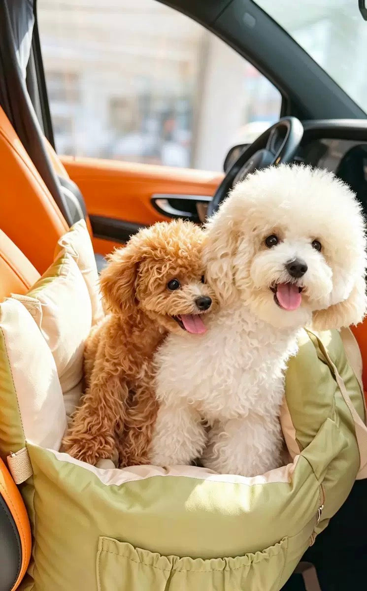 AuriPaw 2-in-1 Dog Car Seat & Travel Bed – Water-Resistant Pet Booster Bed for Small Dogs & Cats