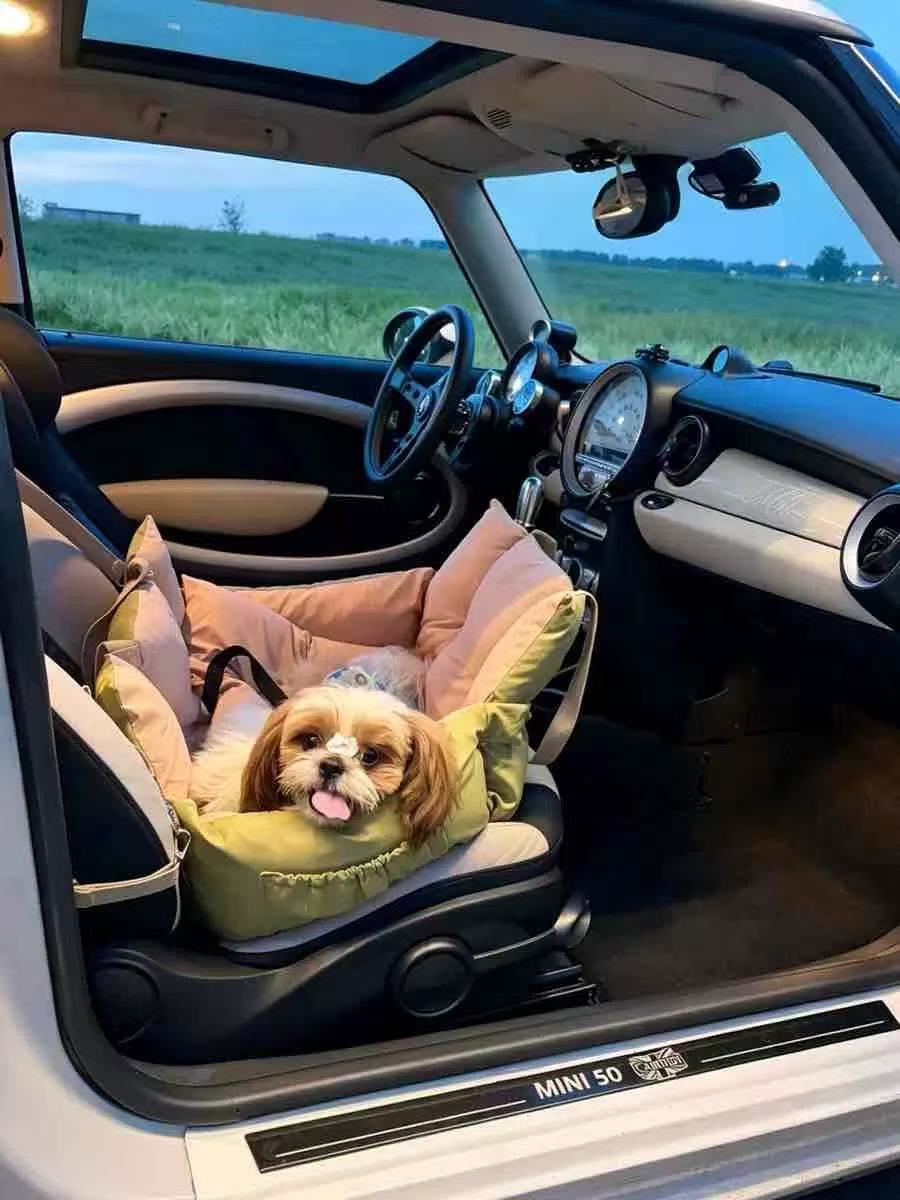 AuriPaw 2-in-1 Dog Car Seat & Travel Bed – Water-Resistant Pet Booster Bed for Small Dogs & Cats