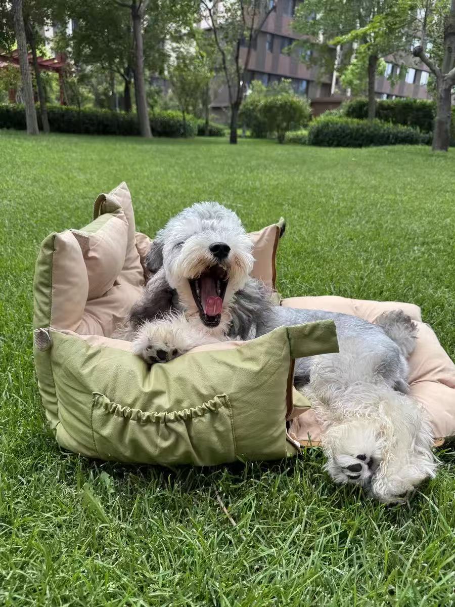 AuriPaw 2-in-1 Dog Car Seat & Travel Bed – Water-Resistant Pet Booster Bed for Small Dogs & Cats