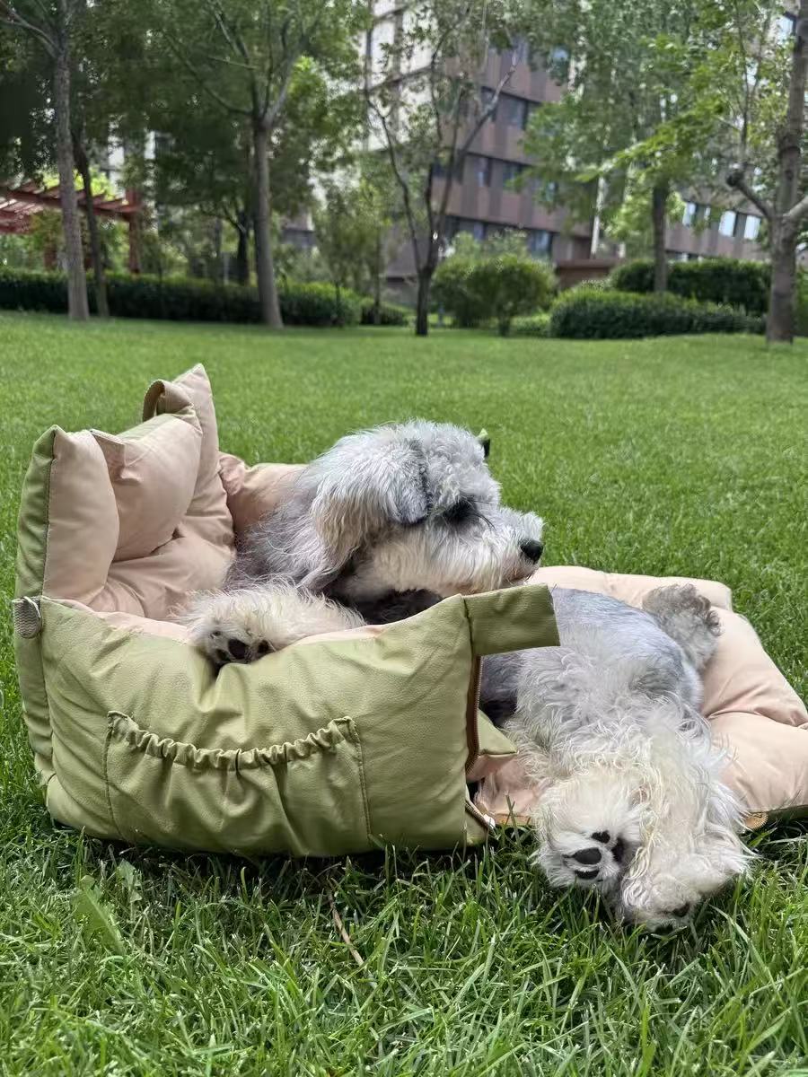 AuriPaw 2-in-1 Dog Car Seat & Travel Bed – Water-Resistant Pet Booster Bed for Small Dogs & Cats