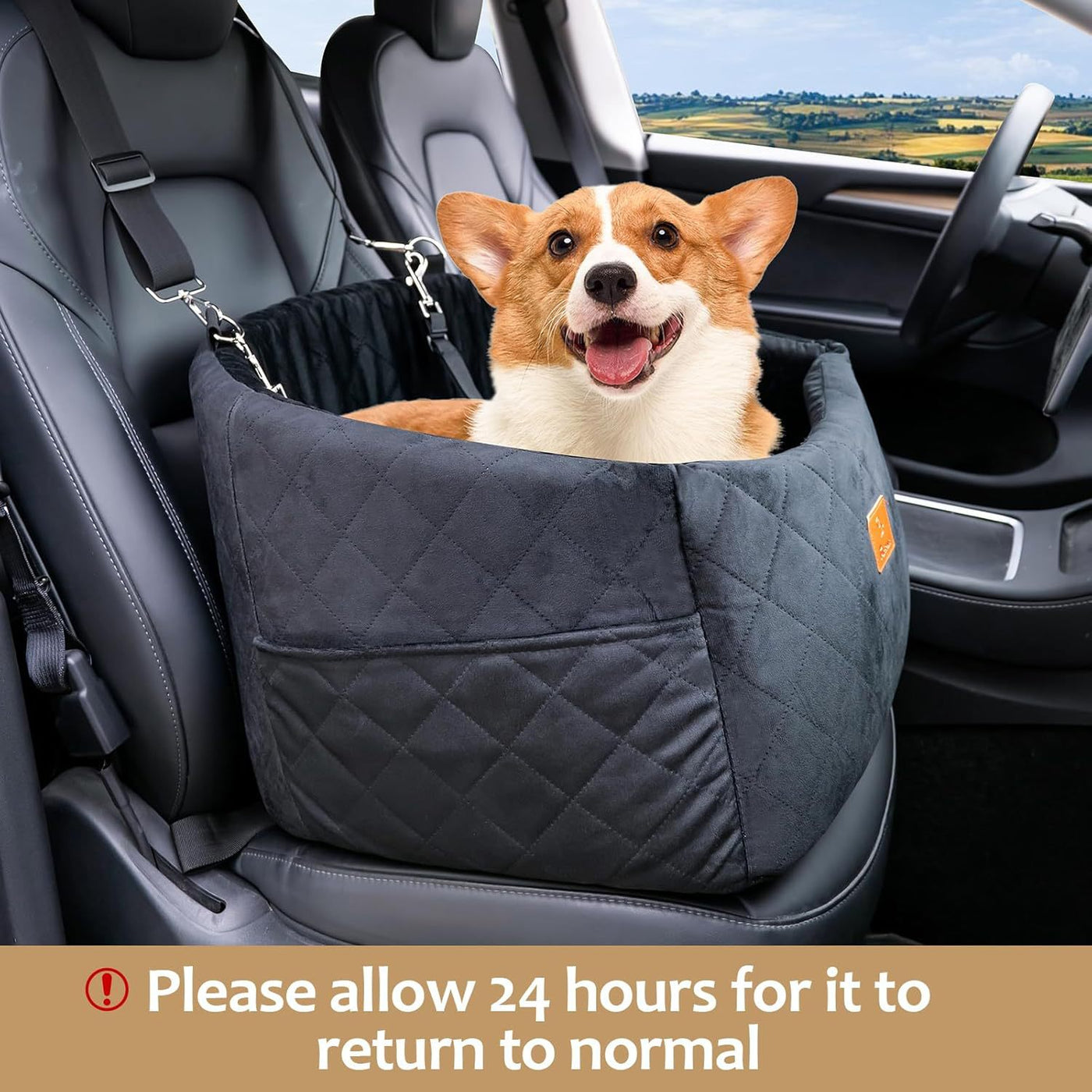 AuriPaw Washable Dog Car Seat Bed – High-Density Foam Travel Booster Bed for Medium Dogs