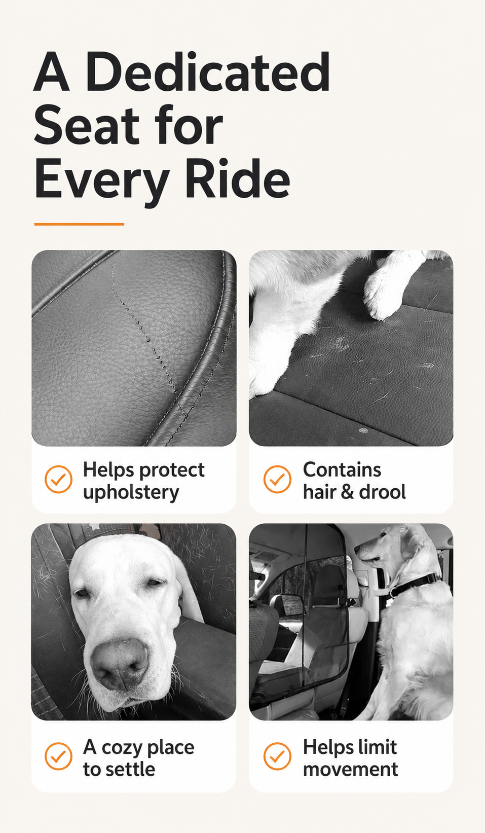 AuriPaw Foldable Pet Travel Carrier – Breathable Portable Cat & Small Dog Car Bag