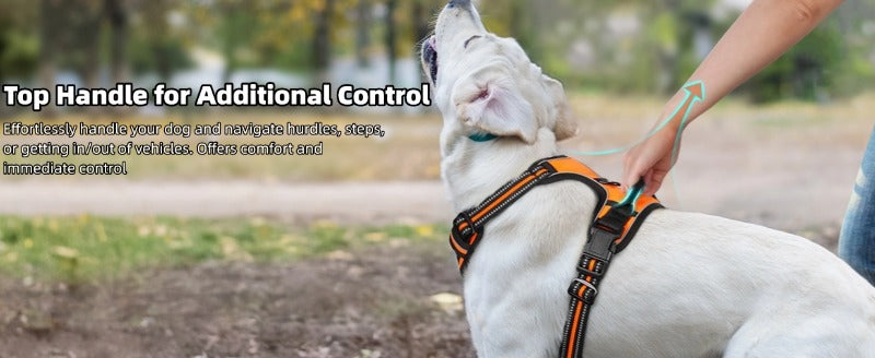 Large Dog Nylon Leash & Chest Harness Set – Comfortable, Durable, and Adjustable
