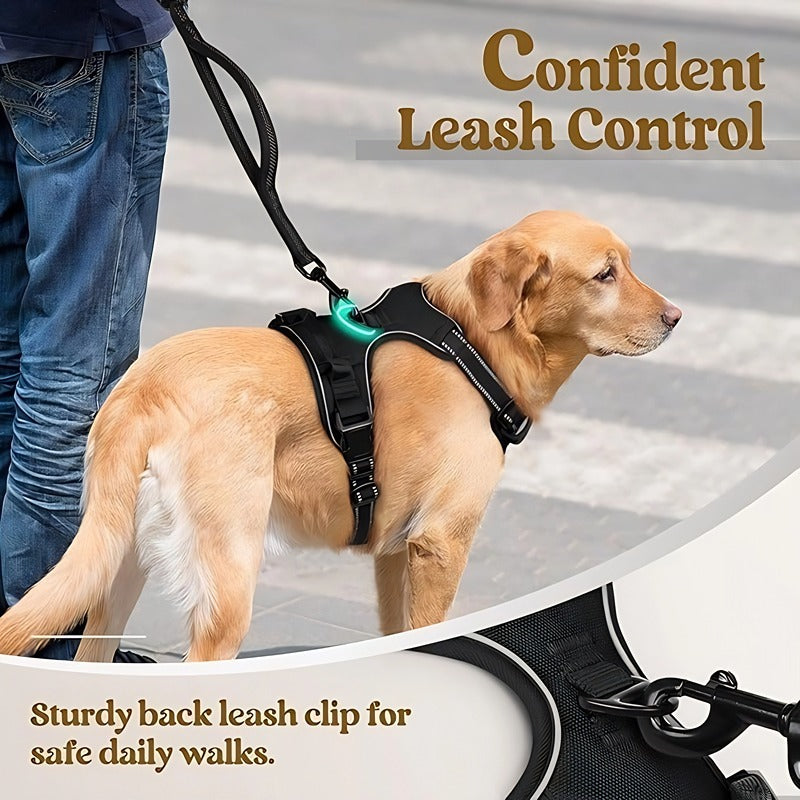 Large Dog Nylon Leash & Chest Harness Set – Comfortable, Durable, and Adjustable