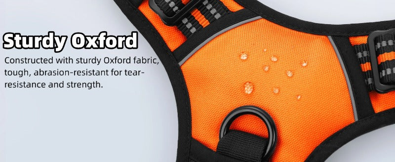 Large Dog Nylon Leash & Chest Harness Set – Comfortable, Durable, and Adjustable
