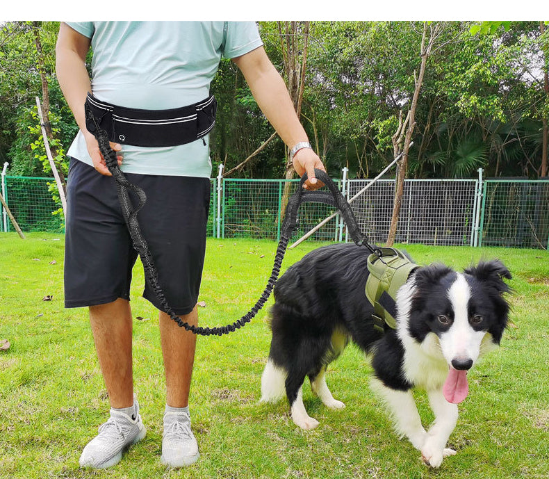 Hands-Free Running Dog Leash with Waist Belt – Shock-Absorbing, Reflective Nylon Retractable Pet Leash for Jogging & Walking