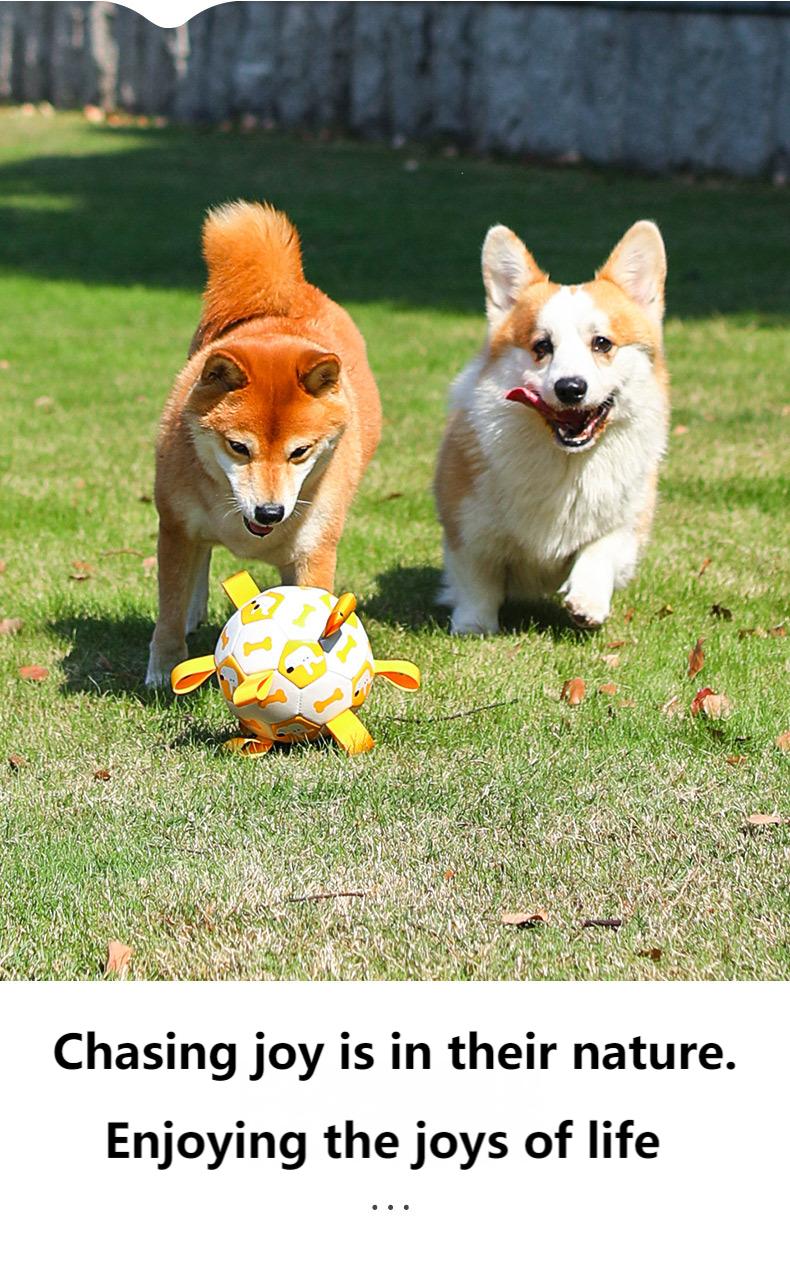 Interactive Dog Soccer Ball Toy – 19cm Durable PU Pet Football for Dogs & Cats, Outdoor Training & Play