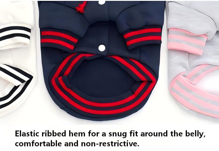 AuriPaw Stylish Color-Blocked Dog Hoodie – Warm & Cozy Pet Sweatshirt for Small Dogs