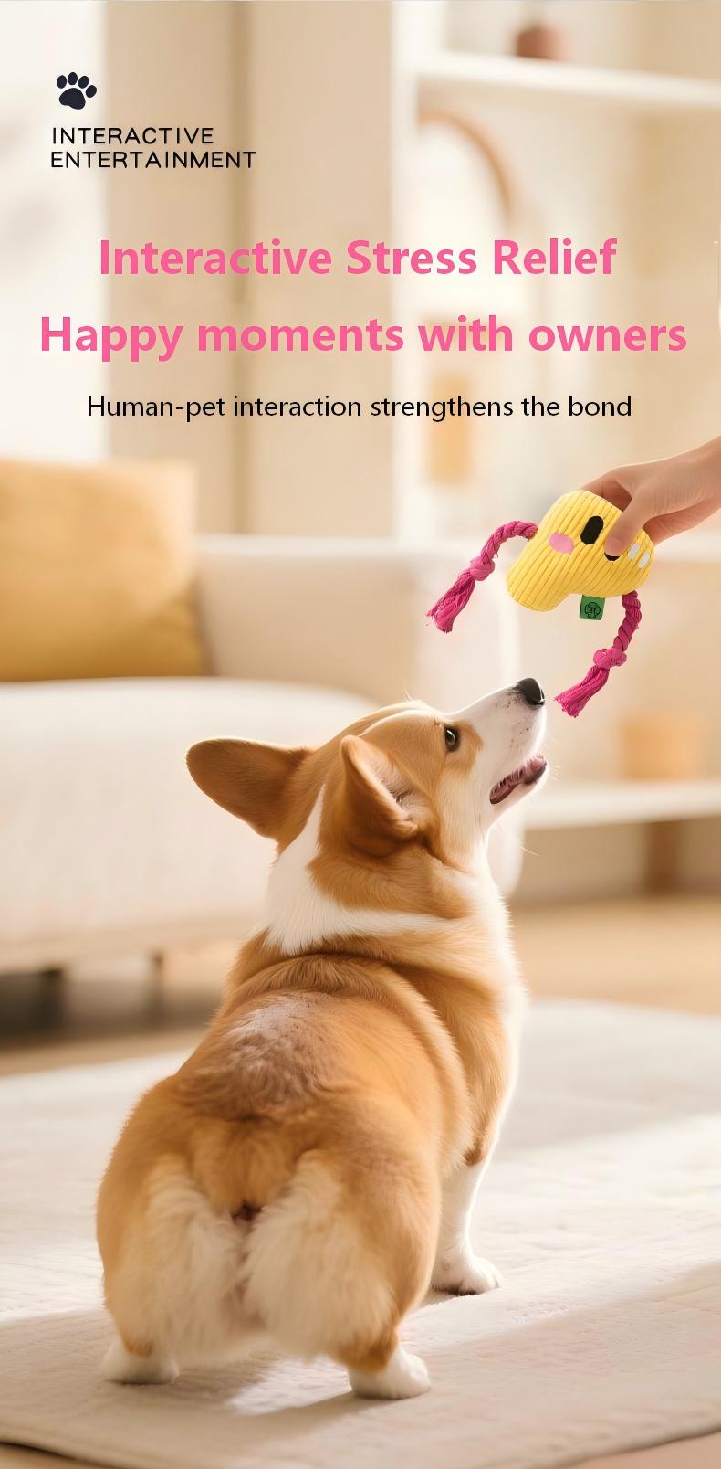 Interactive Alphabet Dog Toy – Squeaky Rope for Fun Playtime