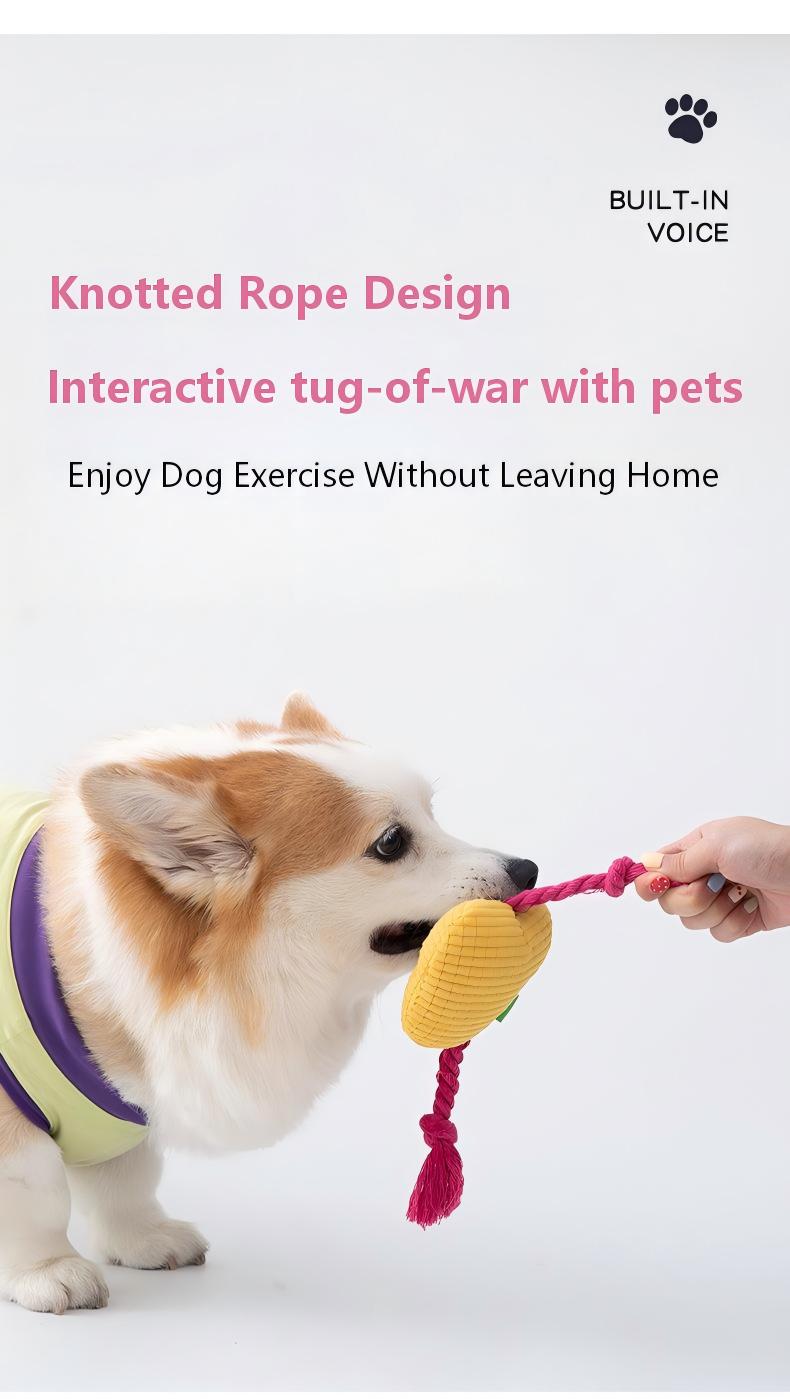 Interactive Alphabet Dog Toy – Squeaky Rope for Fun Playtime