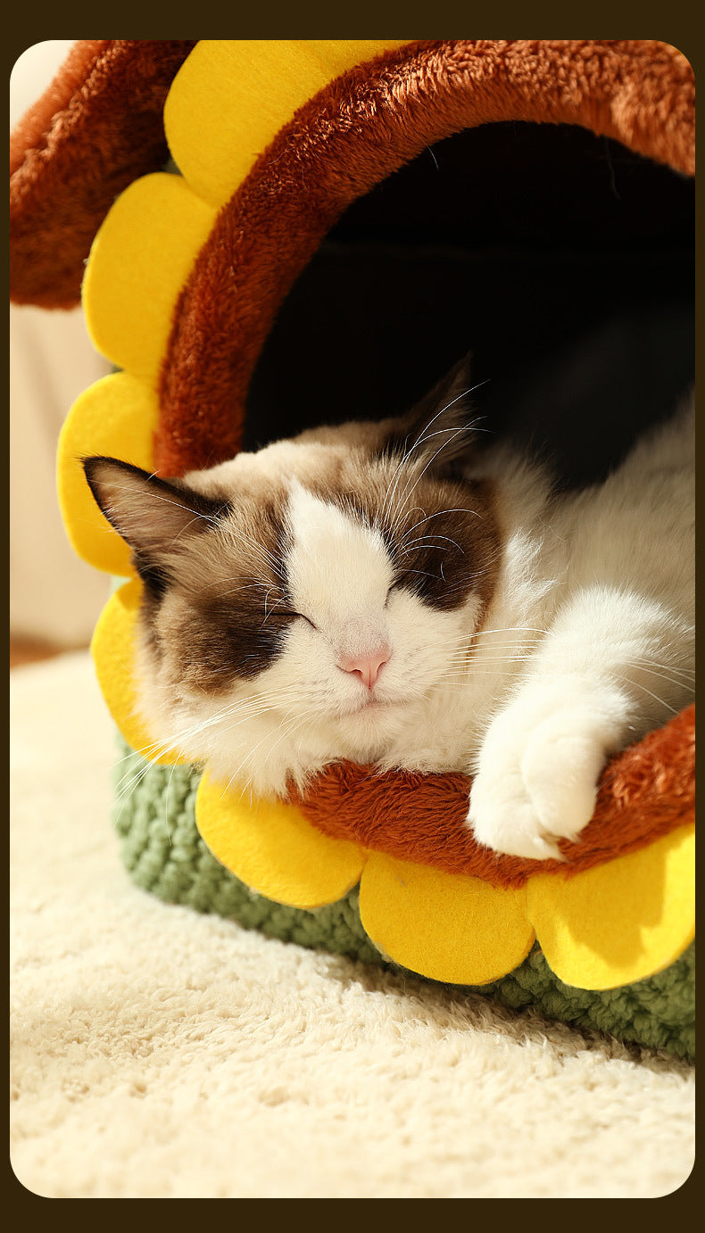 Cute Semi-Enclosed Cat Bed – Cartoon Design, Warm & Washable for Autumn/Winter