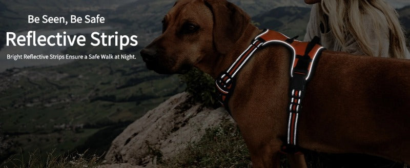 Large Dog Nylon Leash & Chest Harness Set – Comfortable, Durable, and Adjustable