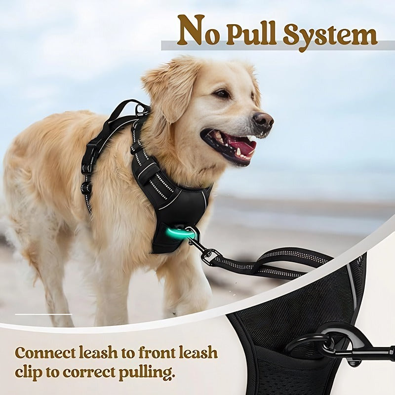 Large Dog Nylon Leash & Chest Harness Set – Comfortable, Durable, and Adjustable