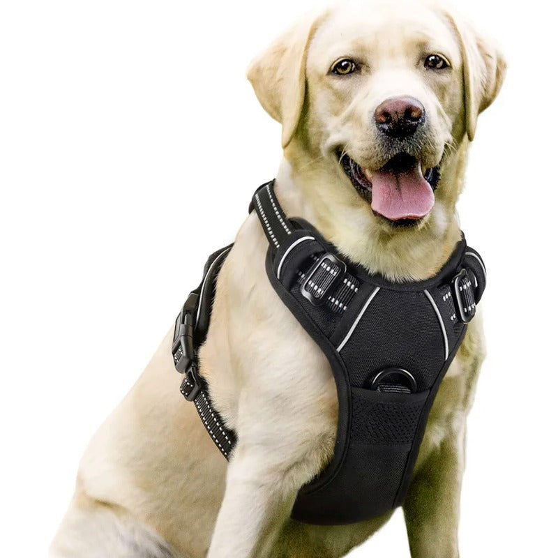 Large Dog Nylon Leash & Chest Harness Set – Comfortable, Durable, and Adjustable
