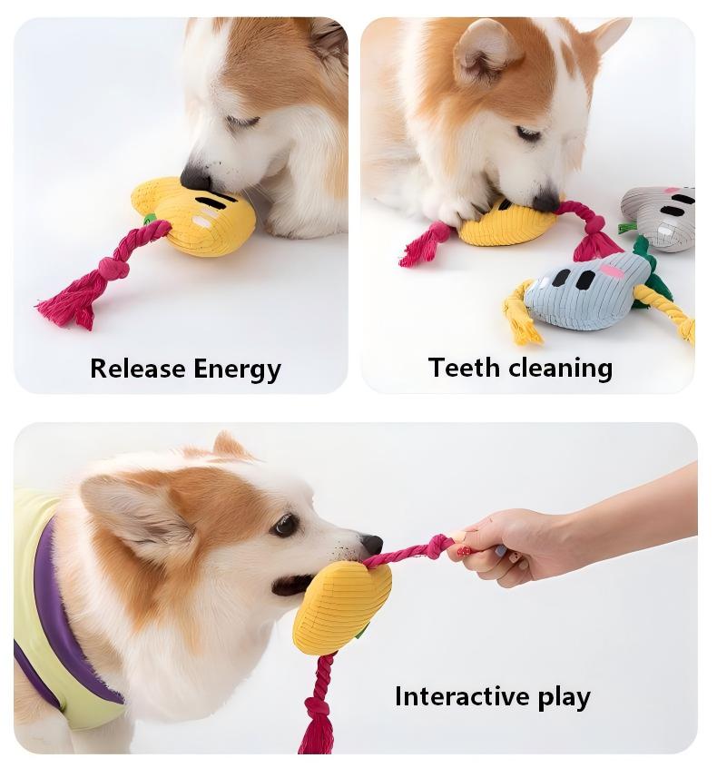 Interactive Alphabet Dog Toy – Squeaky Rope for Fun Playtime