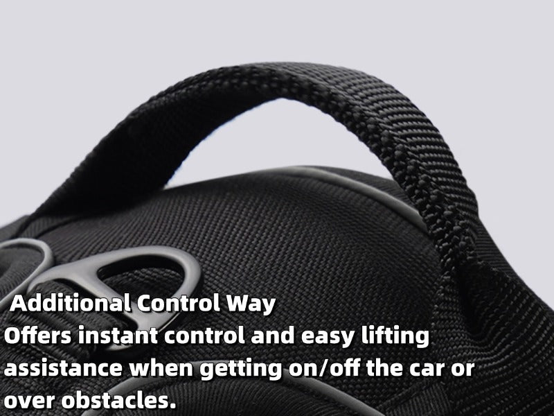 Large Dog Nylon Leash & Chest Harness Set – Comfortable, Durable, and Adjustable