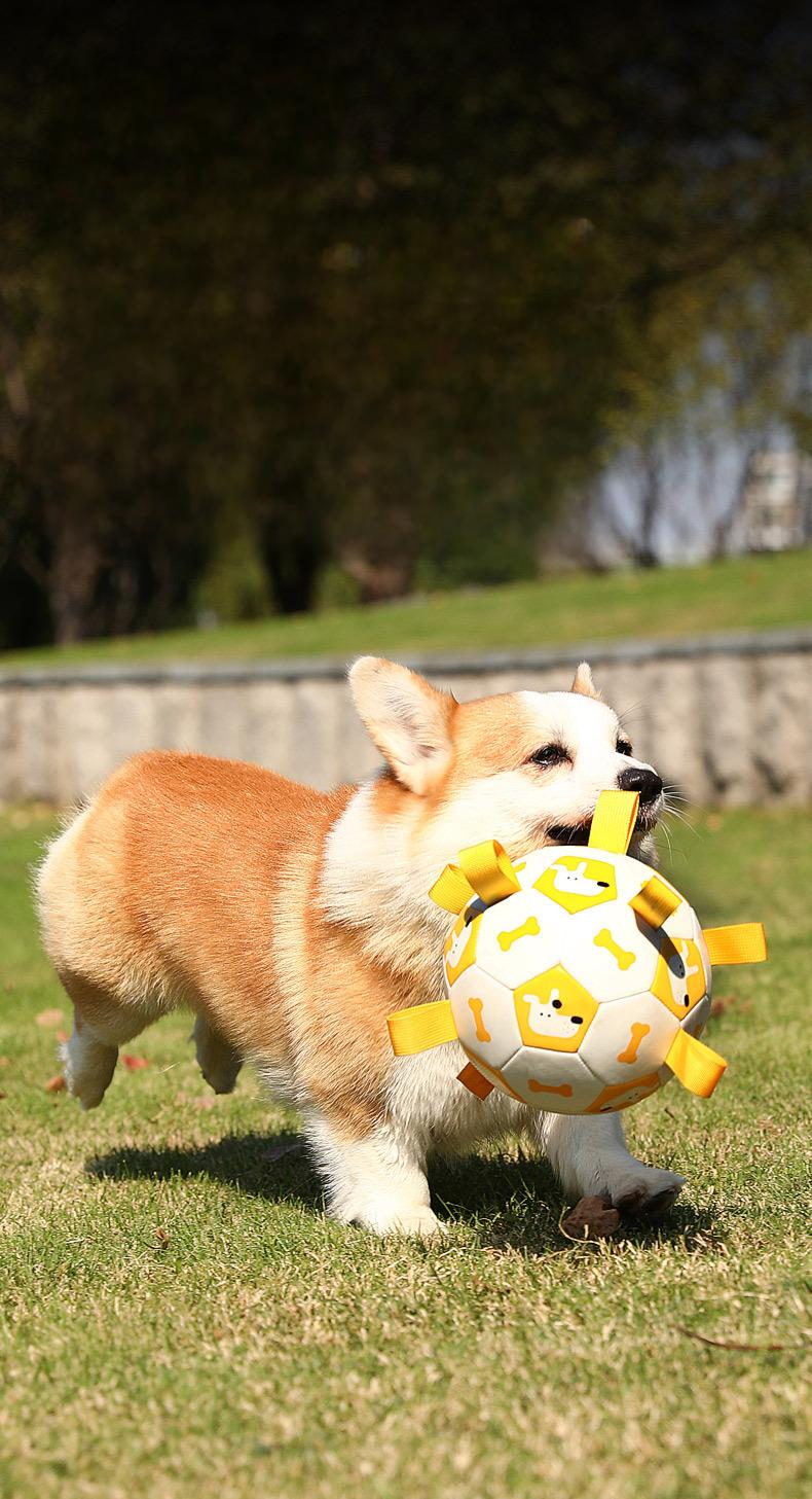 Interactive Dog Soccer Ball Toy – 19cm Durable PU Pet Football for Dogs & Cats, Outdoor Training & Play