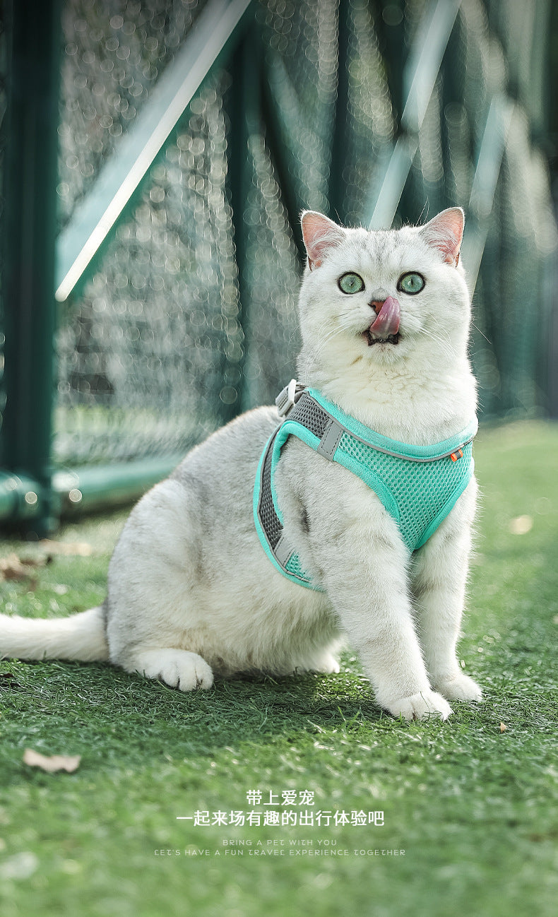 High-Quality Reflective Harness for Small & Medium Dogs, Cats – Perfect for Outdoor Walks (Leash Not Included)