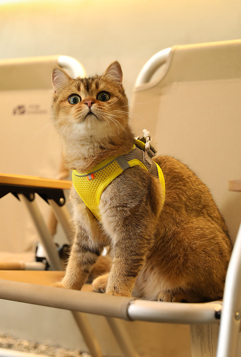 High-Quality Reflective Harness for Small & Medium Dogs, Cats – Perfect for Outdoor Walks (Leash Not Included)