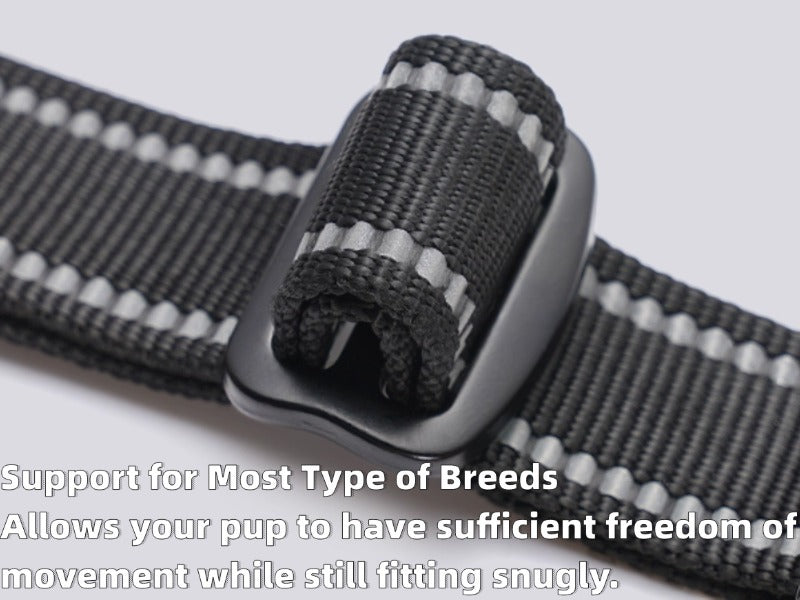 Large Dog Nylon Leash & Chest Harness Set – Comfortable, Durable, and Adjustable