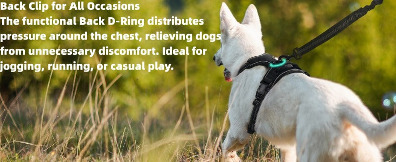 Large Dog Nylon Leash & Chest Harness Set – Comfortable, Durable, and Adjustable