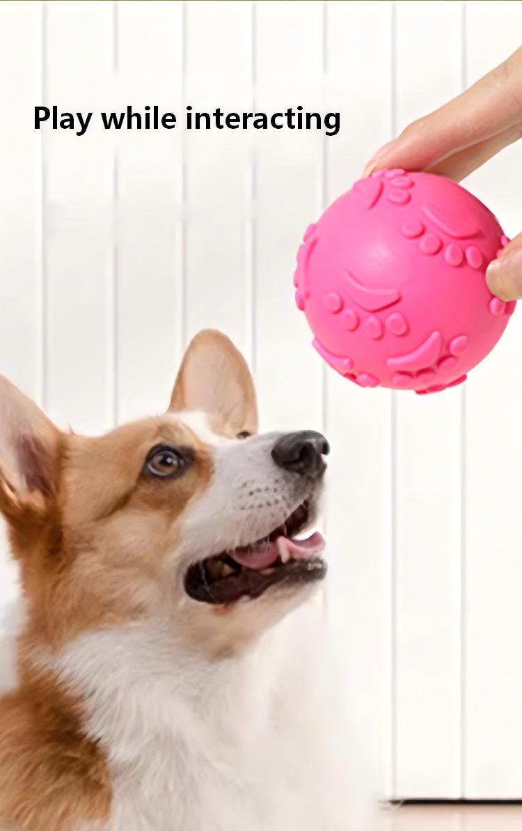 Bouncy TPR Paw Print Ball – Tough, Squeaky, and Perfect for Playful Dogs