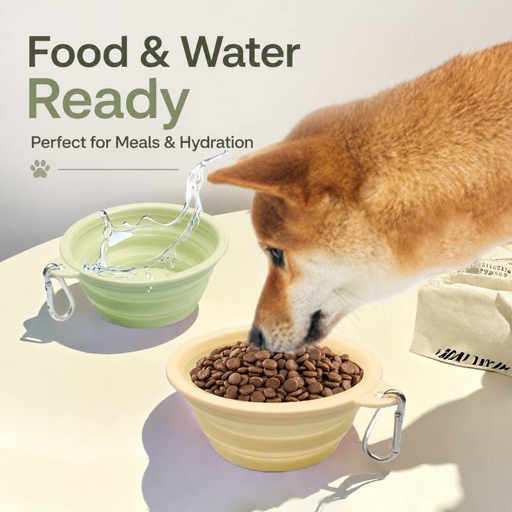 AuriPaw Collapsible Dog Travel Bowl with Carabiner – Portable Silicone Food & Water Bowl