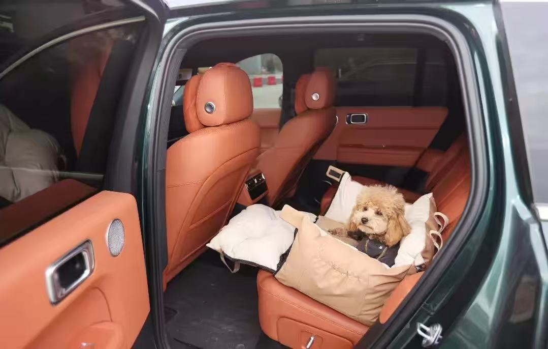 AuriPaw 2-in-1 Dog Car Seat & Travel Bed – Water-Resistant Pet Booster Bed for Small Dogs & Cats