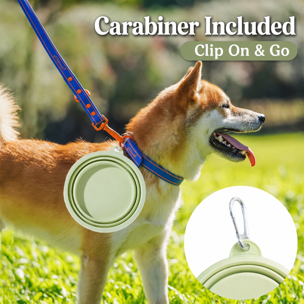 AuriPaw Collapsible Dog Travel Bowl with Carabiner 2PCS – Portable Silicone Food & Water Bowl