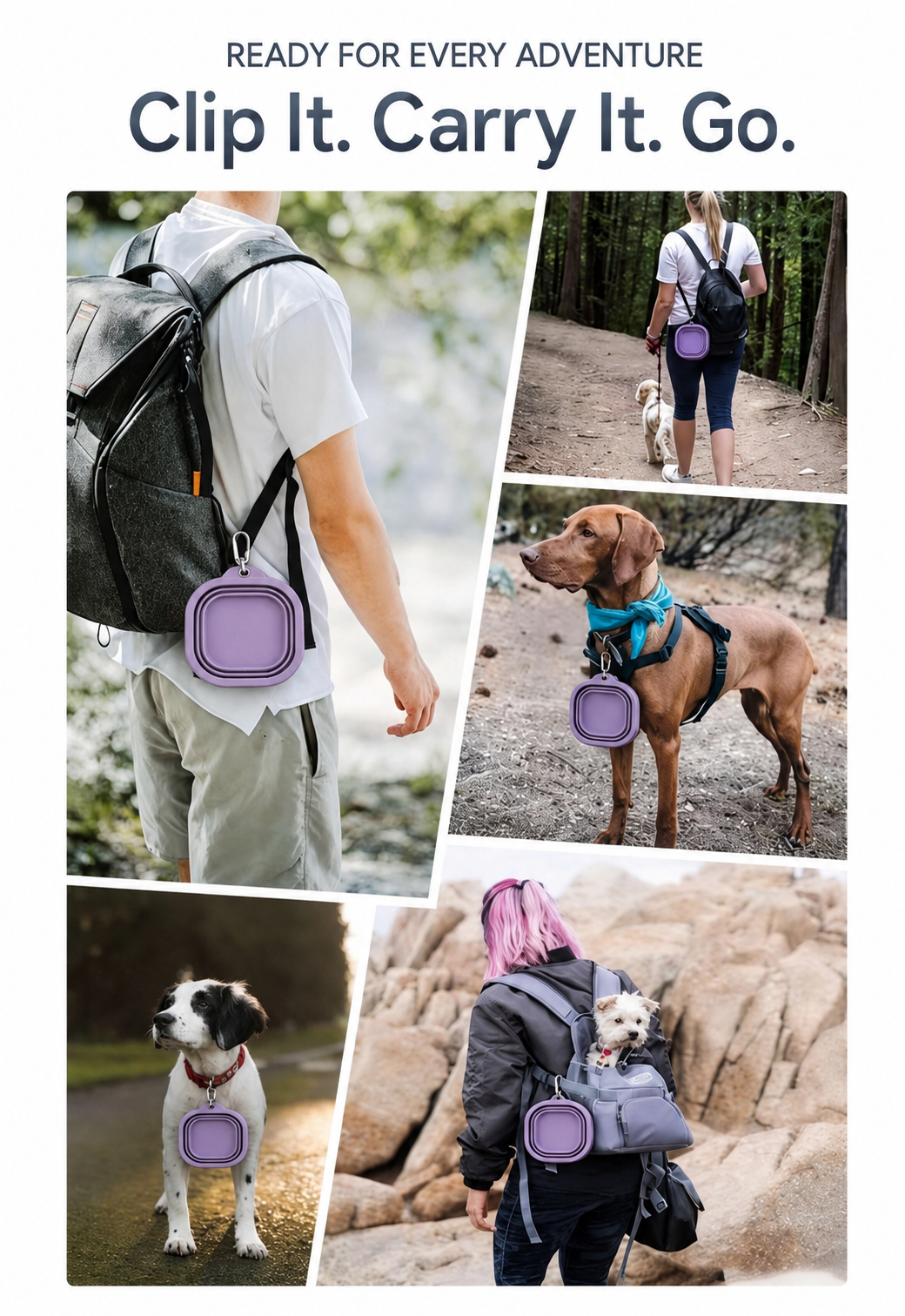 AuriPaw 350ml Collapsible Dog Travel Bowl with Carabiner – Silicone Food & Water Bowl