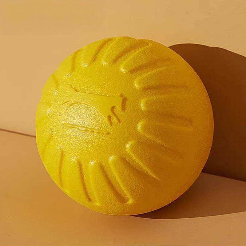 EVA Floating Dog Toy Set – 4-Piece Chew & Training Toys, Interactive Ring, Frisbee & Ball