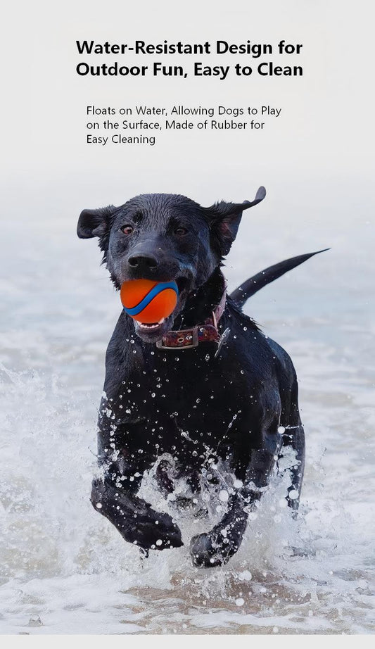 AuriPaw Indestructible Silicone Dog Toy – Durable Sound Ball with Elastic Bounce, Textured Chew Design for Aggressive Chewers & Interactive Play