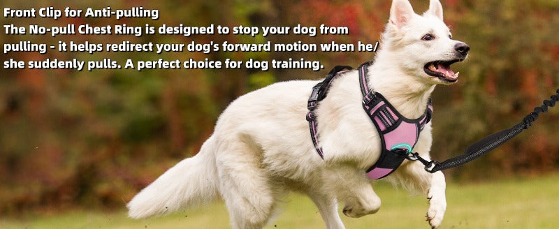 Large Dog Nylon Leash & Chest Harness Set – Comfortable, Durable, and Adjustable