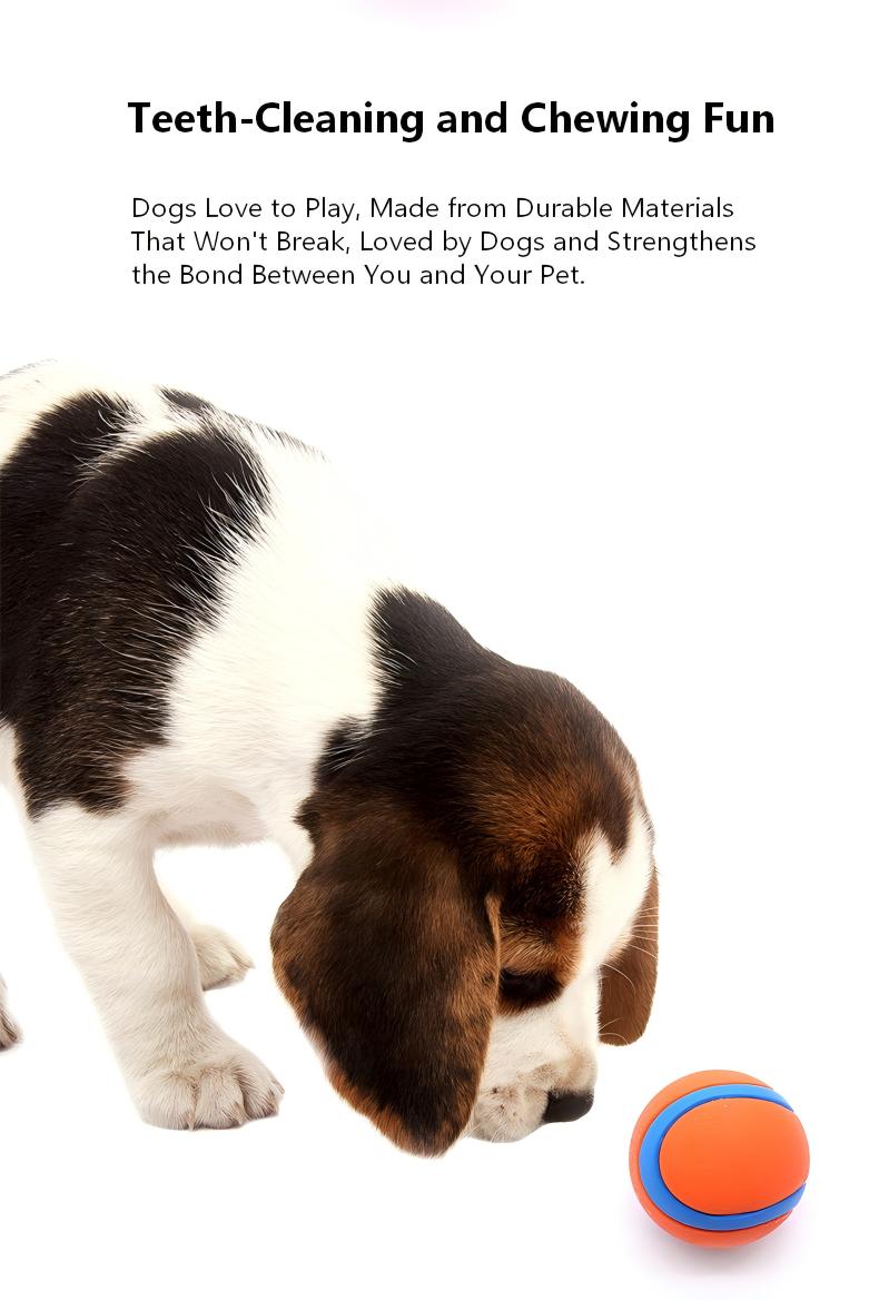 AuriPaw Indestructible Silicone Dog Toy – Durable Sound Ball with Elastic Bounce, Textured Chew Design for Aggressive Chewers & Interactive Play