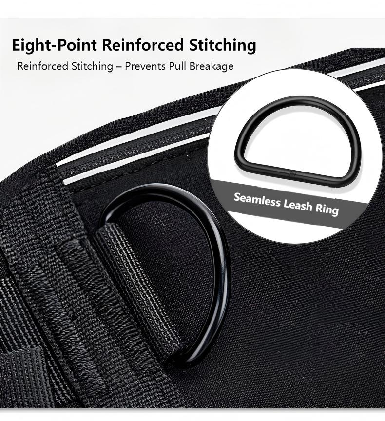 Hands-Free Running Dog Leash with Waist Belt – Shock-Absorbing, Reflective Nylon Retractable Pet Leash for Jogging & Walking