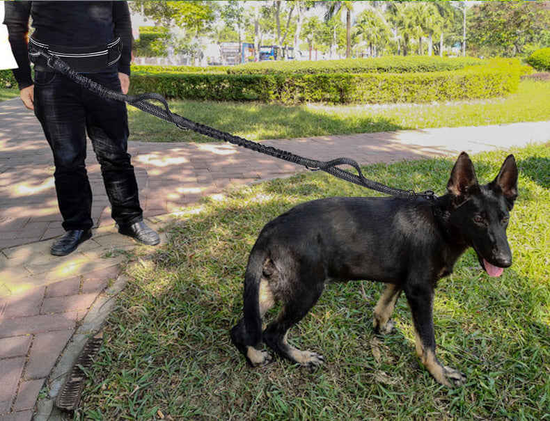 Hands-Free Running Dog Leash with Waist Belt – Shock-Absorbing, Reflective Nylon Retractable Pet Leash for Jogging & Walking
